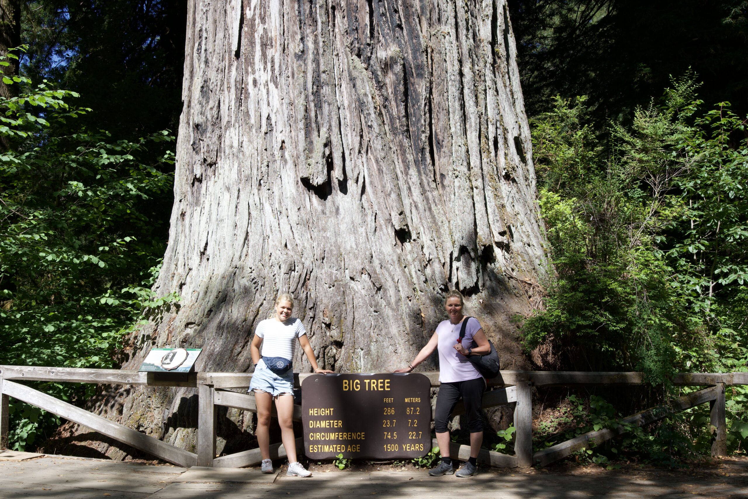 72BF1EB5-B391-408D-8598-6D204C89DCA6_1_201_a